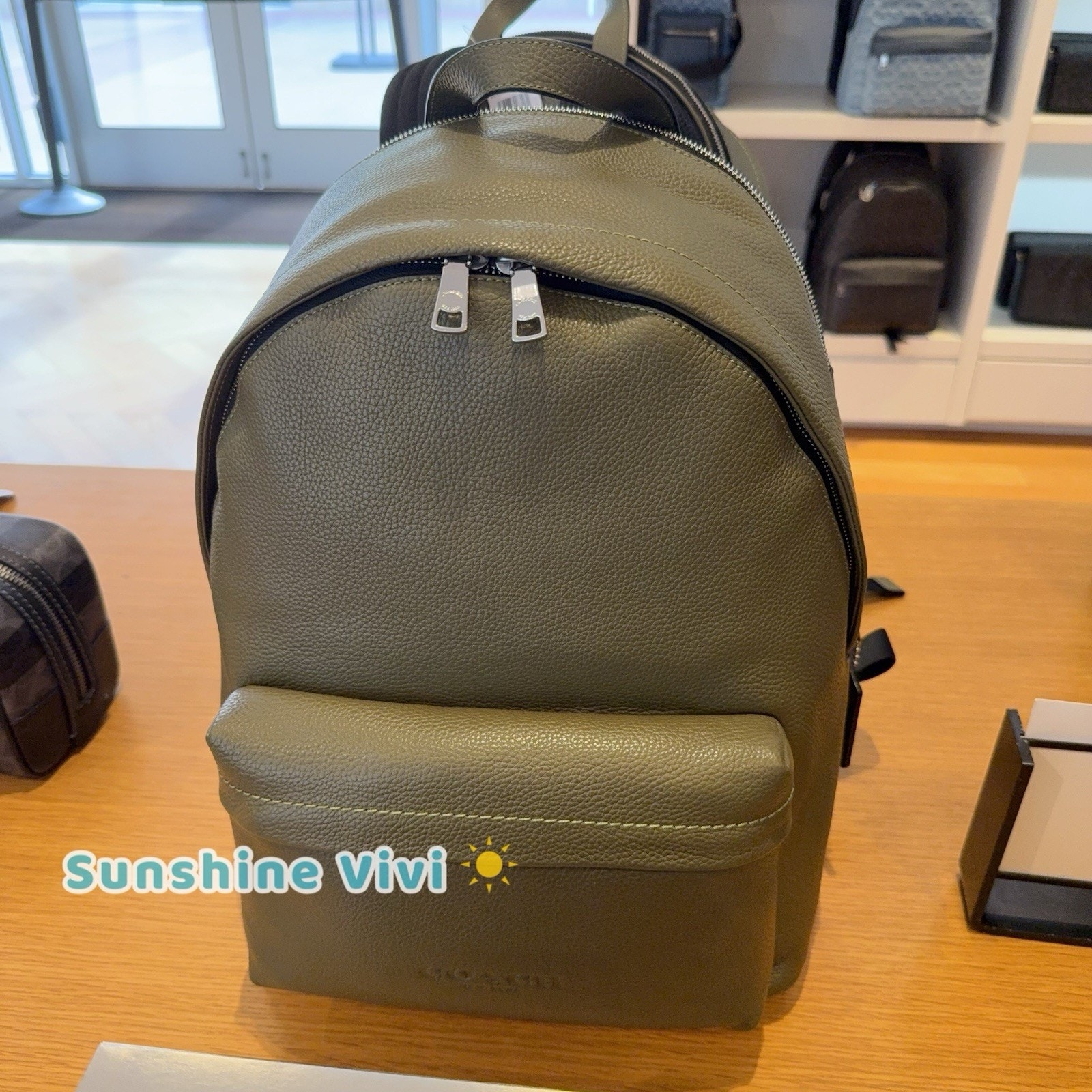 Nwt Coach Taylor Backpack In Refined Pebble Leather Cdx93 Olive Silver